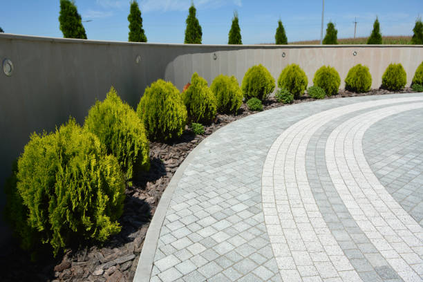Best Driveway Repair Near Me  in Chicopee, MA